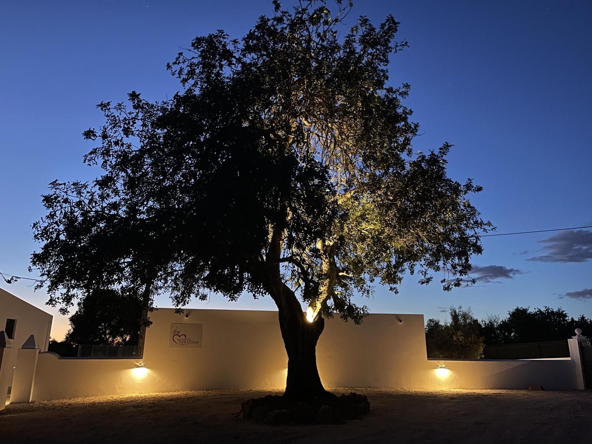 Monte Geracoes - Heated Pool - Typical Algarvian - Close To Quinta Lago, Vale Lobo And Vilamoura Almancil Ngoại thất bức ảnh